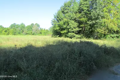 201 Eliza Lane, Clinton, NC 28328 - Photo 4
