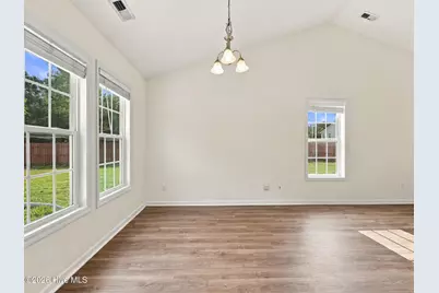 256 Blue Creek Farms Drive, Jacksonville, NC 28540 - Photo 8