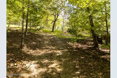 5221 Fires Creek Road, Hayesville, NC 28904 - Photo 12