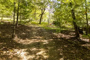 5221 Fires Creek Rd, Hayesville, NC 28904 - Photo 12