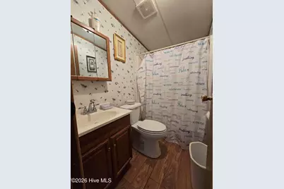 416 Grimes Singletary Road, Tar Heel, NC 28392 - Photo 12