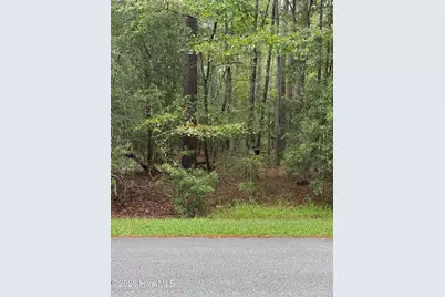 208 Pamlico River Drive, Washington, NC 27889 - Photo 1