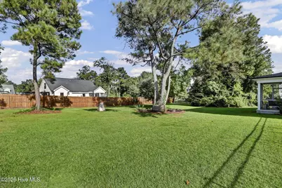 235 Topsail Watch Drive, Hampstead, NC 28443 - Photo 48
