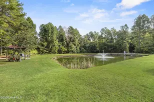 6079 Bell Williams Rd, Currie, NC 28435 - Photo 38