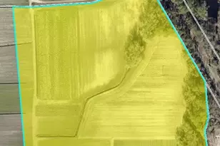 000 Willis Farm Tract-1 Rd, Newport, NC 28570 - Photo 1