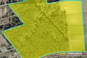 000 Willis Farm Tract-2 Rd, Newport, NC 28570 - Photo 1