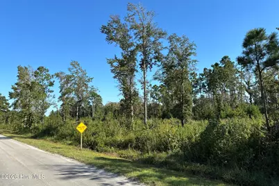 000 Willis Farm Tract-3 Road, Newport, NC 28570 - Photo 2