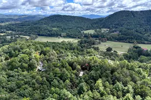 364 Brasstown Hills Rd, Brasstown, NC 28902 - Photo 48