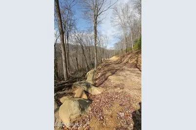 Lot 20 Walnut Cove Branch, Robbinsville, NC 28771 - Photo 20