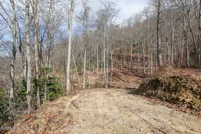 Lot 20 Walnut Cove Branch, Robbinsville, NC 28771 - Photo 14