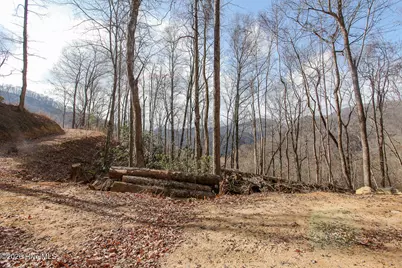 Lot 20 Walnut Cove Branch, Robbinsville, NC 28771 - Photo 18