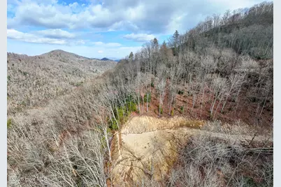 Lot 20 Walnut Cove Branch, Robbinsville, NC 28771 - Photo 6