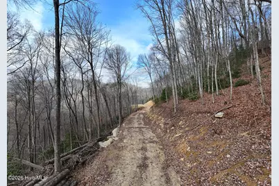 Lot 20 Walnut Cove Branch, Robbinsville, NC 28771 - Photo 4