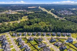 3836 Smooth Water Dr, Castle Hayne, NC 28429 - Photo 50