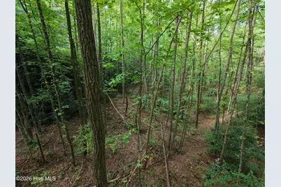 00 Collett Creek Road, Andrews, NC 28901 - Photo 4