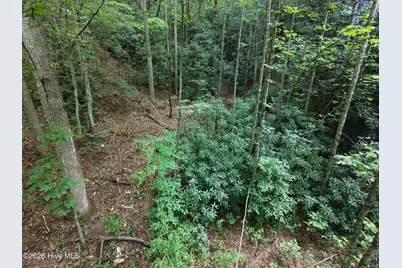 00 Collett Creek Road, Andrews, NC 28901 - Photo 1