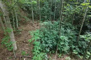 00 Collett Creek Rd, Andrews, NC 28901 - Photo 1