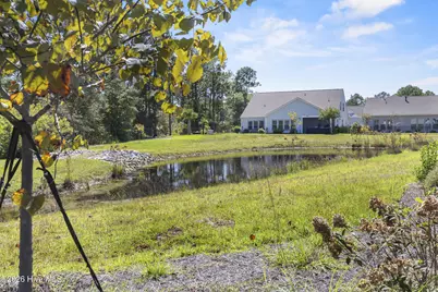 3205 Laughing Gull Terrace, Wilmington, NC 28412 - Photo 52