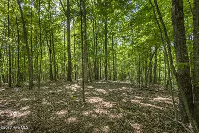 34 Ac Donley Road, Murphy, NC 28906 - Photo 12