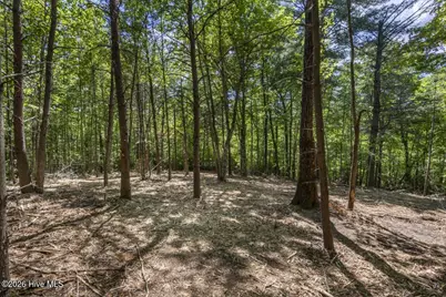 34 Ac Donley Road, Murphy, NC 28906 - Photo 10