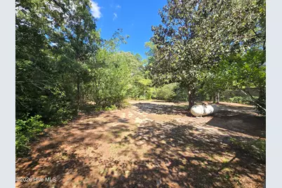 12381 Blues Farm Road, Laurinburg, NC 28352 - Photo 22