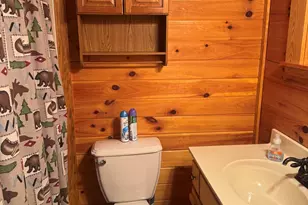 889 Wagon Train Rd, Murphy, NC 28906 - Photo 50
