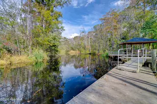 217 Bronze Dr, Rocky Point, NC 28457 - Photo 50
