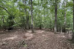 236 Sugar Loaf Dr, Troy, NC 27371 - Photo 1