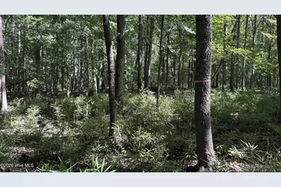 6033 Homestead Road, Elm City, NC 27822 - Photo 34