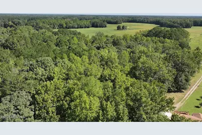 6033 Homestead Road, Elm City, NC 27822 - Photo 12