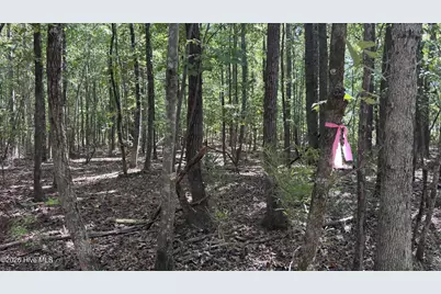 6033 Homestead Road, Elm City, NC 27822 - Photo 26