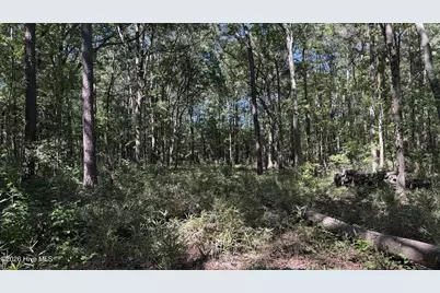 6033 Homestead Road, Elm City, NC 27822 - Photo 40