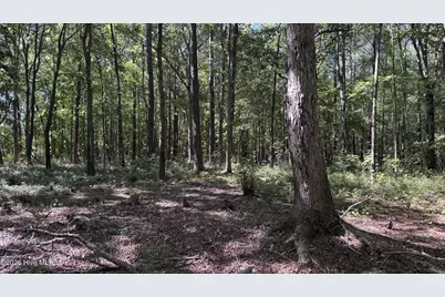 6033 Homestead Road, Elm City, NC 27822 - Photo 20