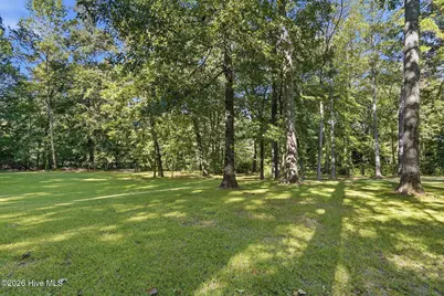 415 River Bluff Drive N, Dunn, NC 28334 - Photo 20