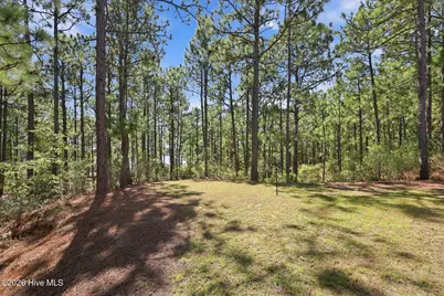 163 Otter Drive, Seven Lakes, NC 27376 - Photo 14