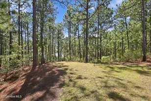 163 Otter Dr, Seven Lakes, NC 27376 - Photo 14
