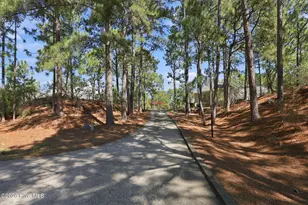 163 Otter Dr, Seven Lakes, NC 27376 - Photo 48
