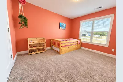 110 Village Creek Drive, Maysville, NC 28555 - Photo 20