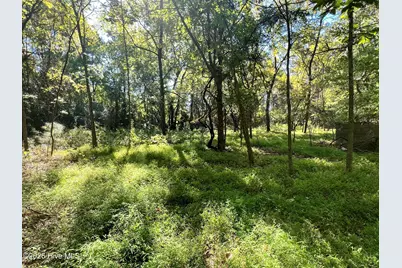 Lot 5 Coleman Loop Road, Hillsborough, NC 27278 - Photo 8