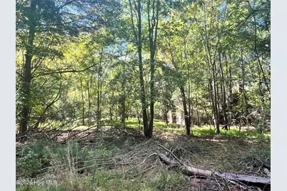 Lot 5 Coleman Loop Road, Hillsborough, NC 27278 - Photo 6