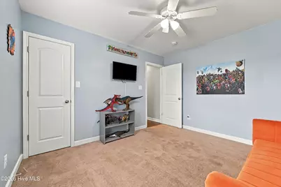 393 Haw Branch Road, Richlands, NC 28574 - Photo 42