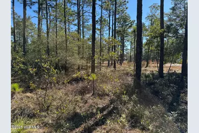 100 Bridges Road, Southport, NC 28461 - Photo 10