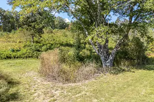 1600 Cook Creek Rd, Murphy, NC 28906 - Photo 50