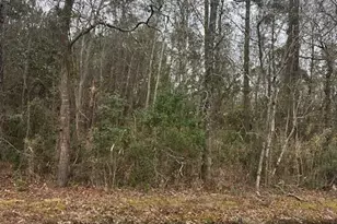 7613 Princess Ann Rd, Evergreen, NC 28438 - Photo 28