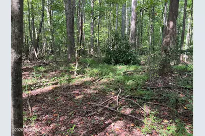 9011 Pleasant Grove Church Road, Spring Hope, NC 27882 - Photo 6
