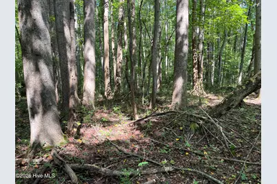 9011 Pleasant Grove Church Road, Spring Hope, NC 27882 - Photo 4