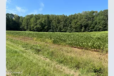 9011 Pleasant Grove Church Road, Spring Hope, NC 27882 - Photo 8