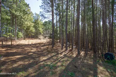 190 Dicks Hill Road, Carthage, NC 28327 - Photo 64