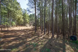 190 Dicks Hill Rd, Carthage, NC 28327 - Photo 64