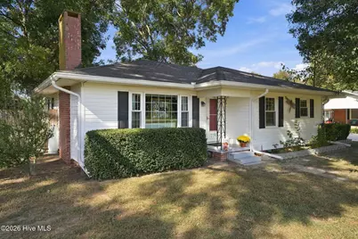 774 Old Smith Chapel Road, Mount Olive, NC 28365 - Photo 1